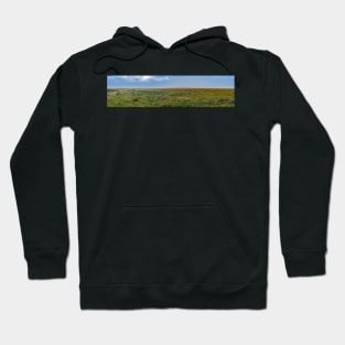 View over the wetlands of Lauwersmeer, The Netherlands Hoodie